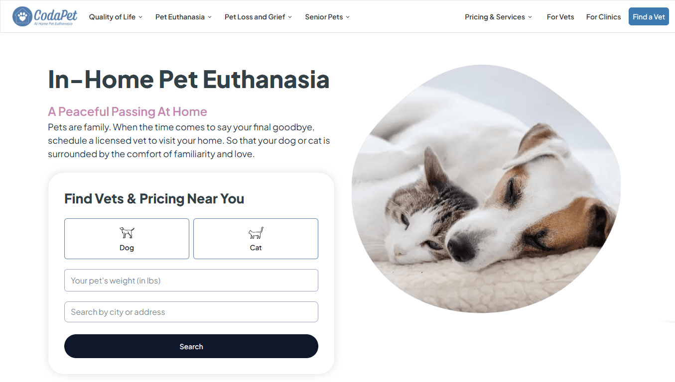 05 How To Scale A Startup - CodaPet.png