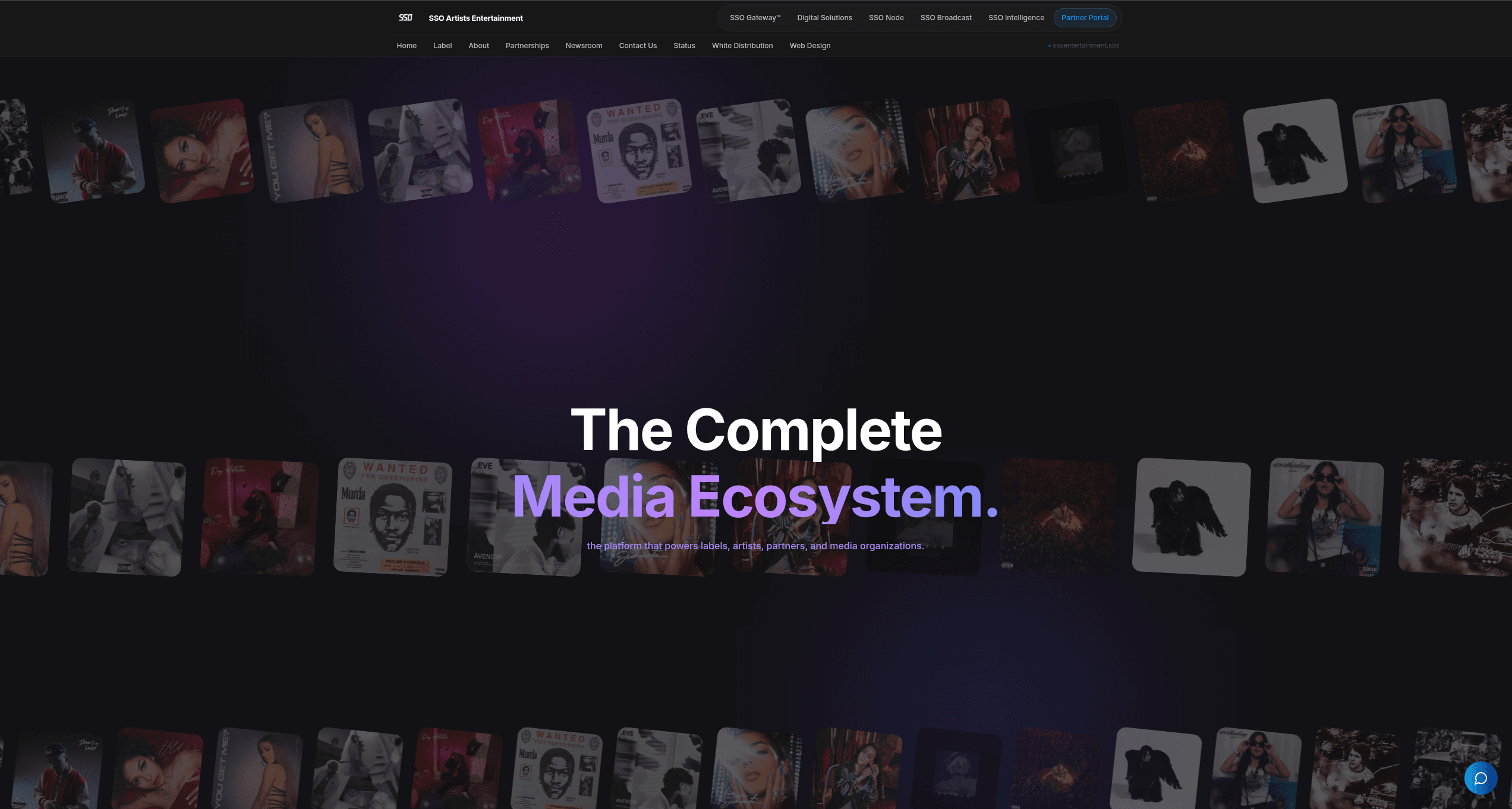 Homepage preview of SSOEntertainment.sbs