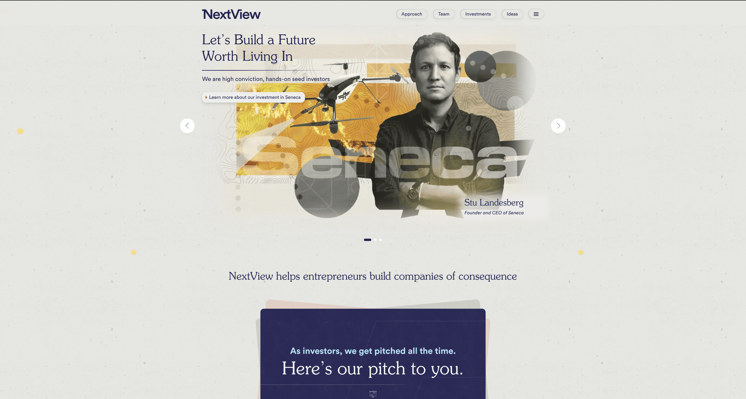 Homepage preview of NextView.buzz